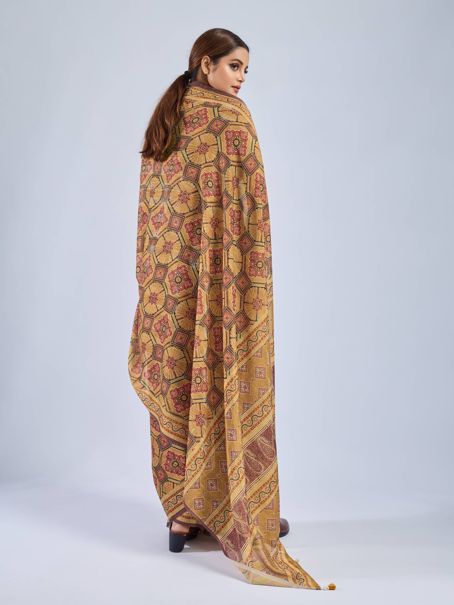 GOLDEN EARTH MANDALA CHANDERI SAREE
