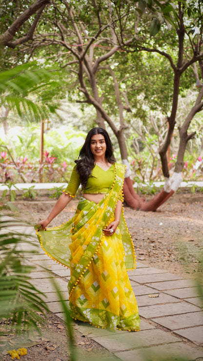 Lime Aura Geometric Tassel Saree