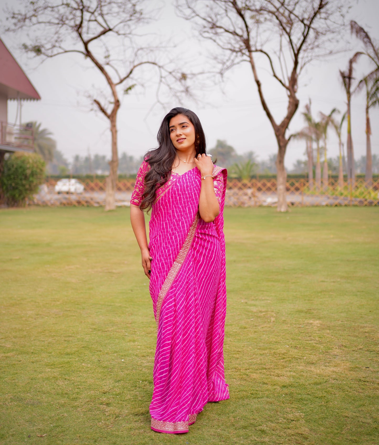 Blush Radiance Striped Saree