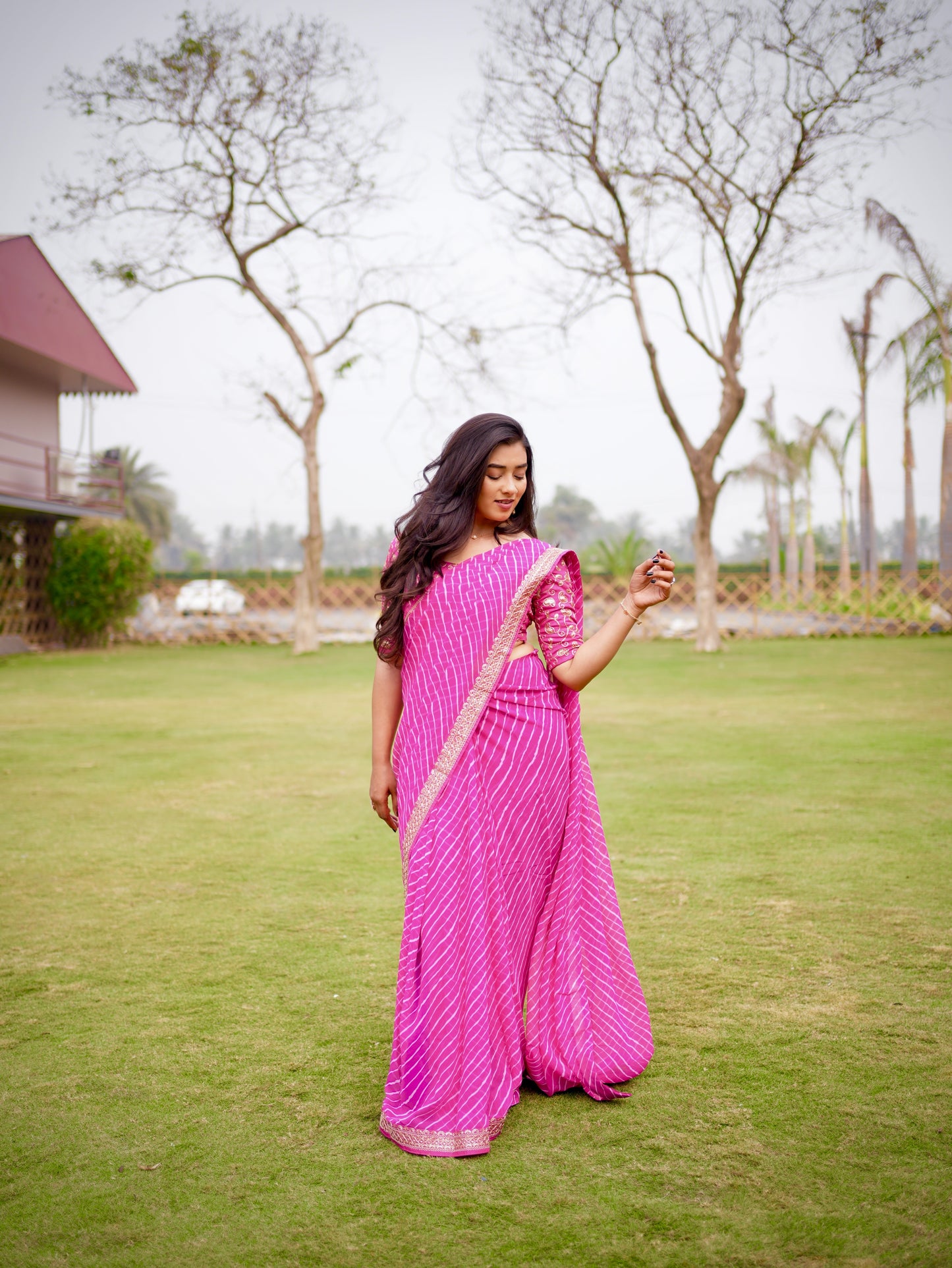Blush Radiance Striped Saree